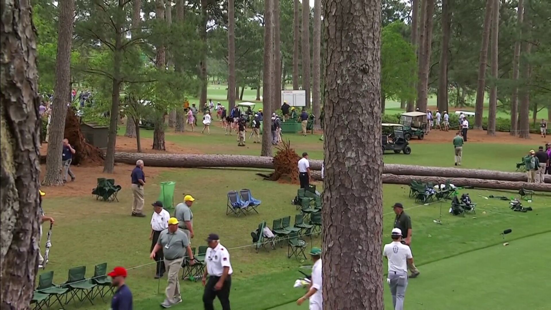 Play suspended at Augusta | No injuries as two trees fall