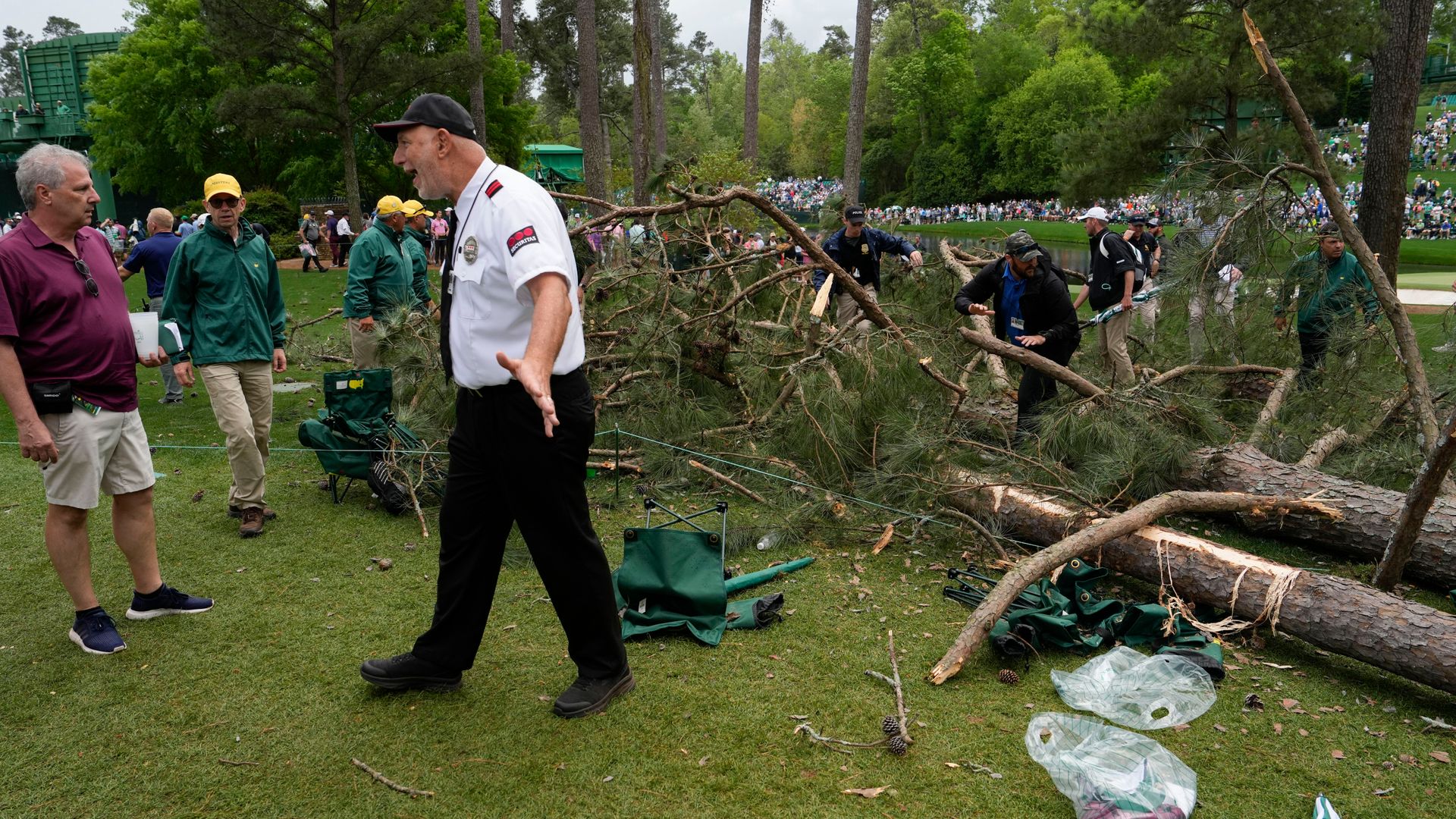 Tree falls at Augusta in high winds | 'Lucky nobody was injured'