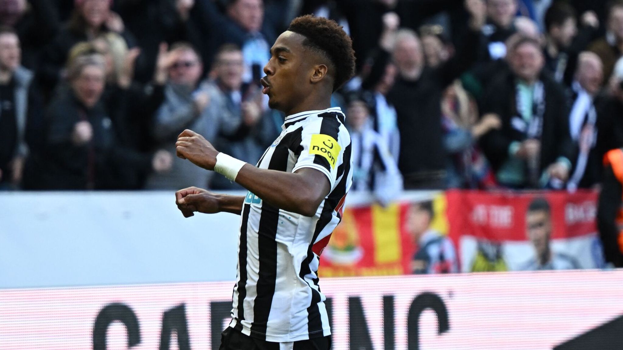 Newcastle 2-0 Manchester United: Joe Willock and Callum Wilson goals see  Magpies leapfrog top-four rivals into third place | Football News | Sky  Sports