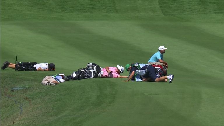Erik van Rooyen and several other players on the 10th hole of the Abierto Mexicano de Golf course as they were forced to drop to the floor because of an approaching swarm of bees