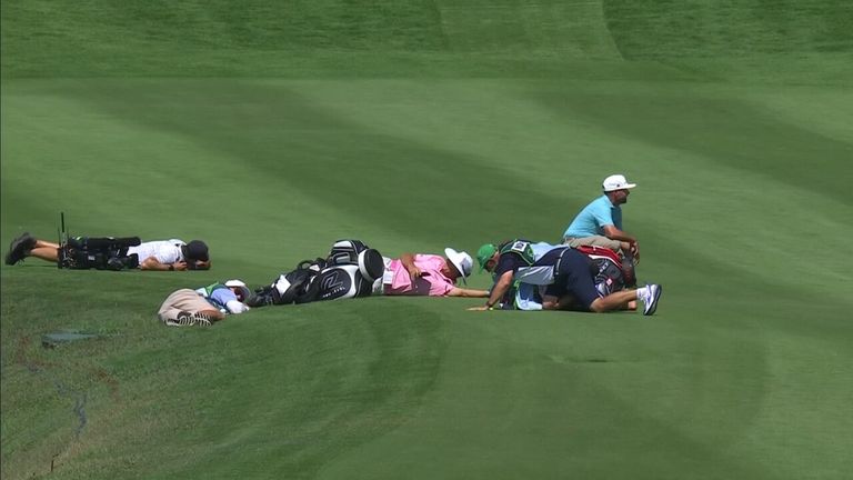 Erik van Rooyen y varios otros jugadores en el hoyo 10 del campo Abierto Mexicano de Golf cuando se vieron obligados a tirarse al suelo debido a un enjambre de abejas que se acercaba.