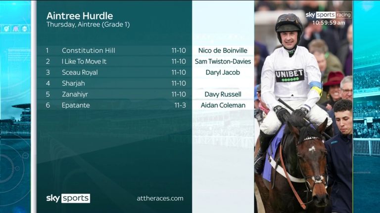 Aintree Hurdle declarations