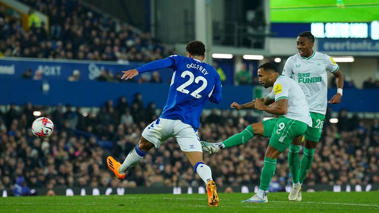 Callum Wilson scores his second and Newcastle's third