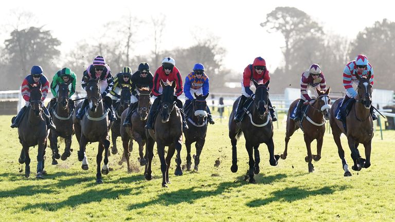 Fontwell racecourse general view