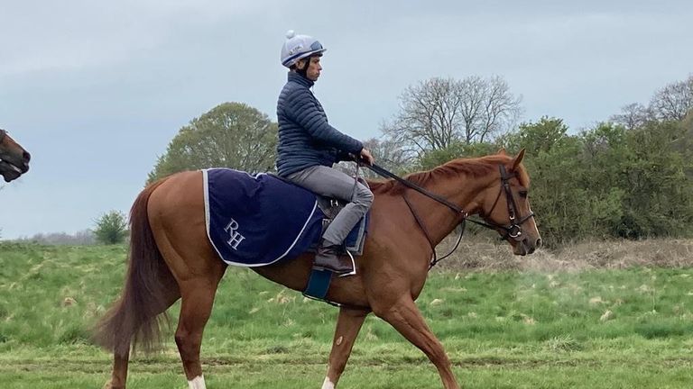 Sean Levey and Mammas Girl at home at Richard Hannon's Marlborough base