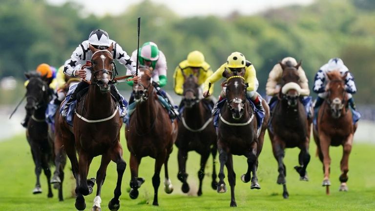 Marshman (white and black) is being aimed at the Commonwealth Cup at Royal Ascot