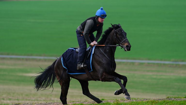 Mister Coffey heads up the gallops at Seven Barrows as he warms up for the Grand National