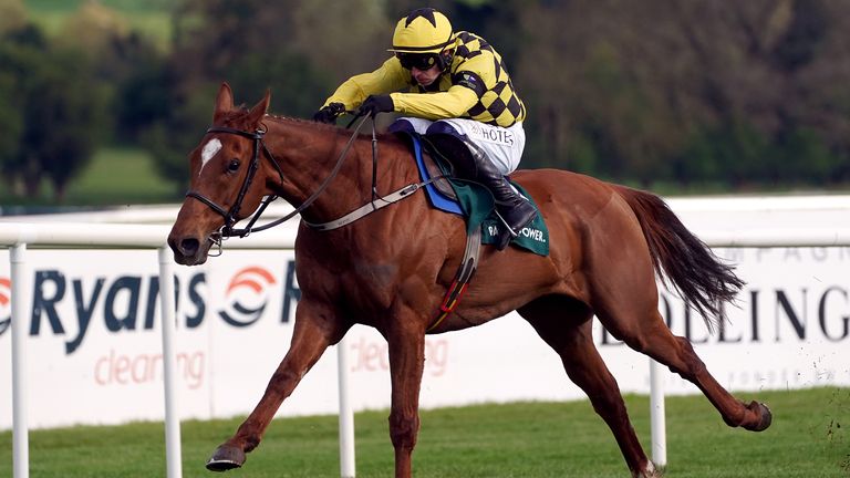 State Man and Paul Townend clear away to win the Punchestown Champion Hurdle