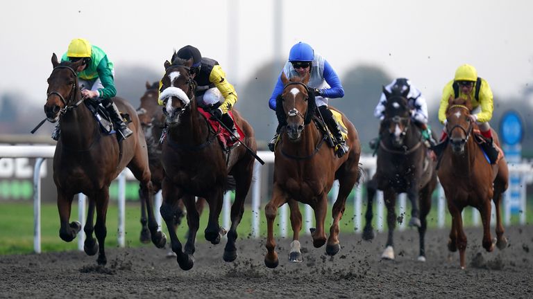 United Front (black and yellow) chases home Chance at Kempton