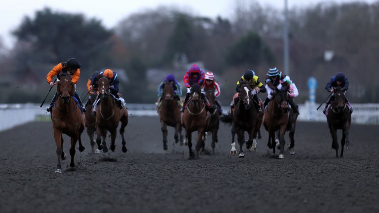 Zealot (left) on his way to the first of seven victories on the all-weather this winter