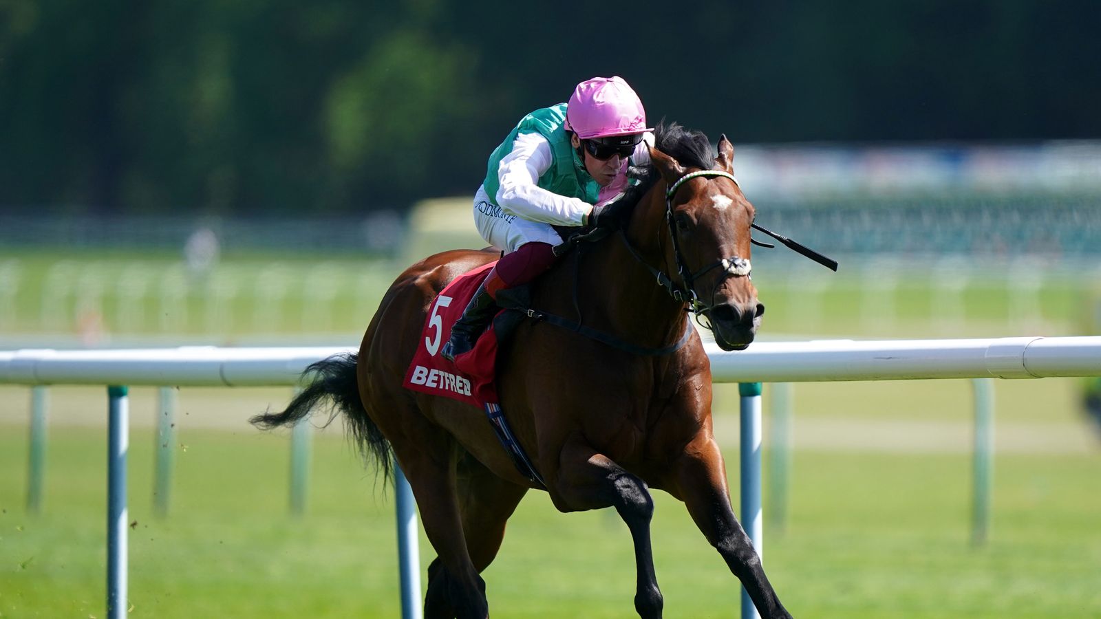 Mino Races Sandy Lane Stakes: Little Big Bear roars back to winning ways at ...