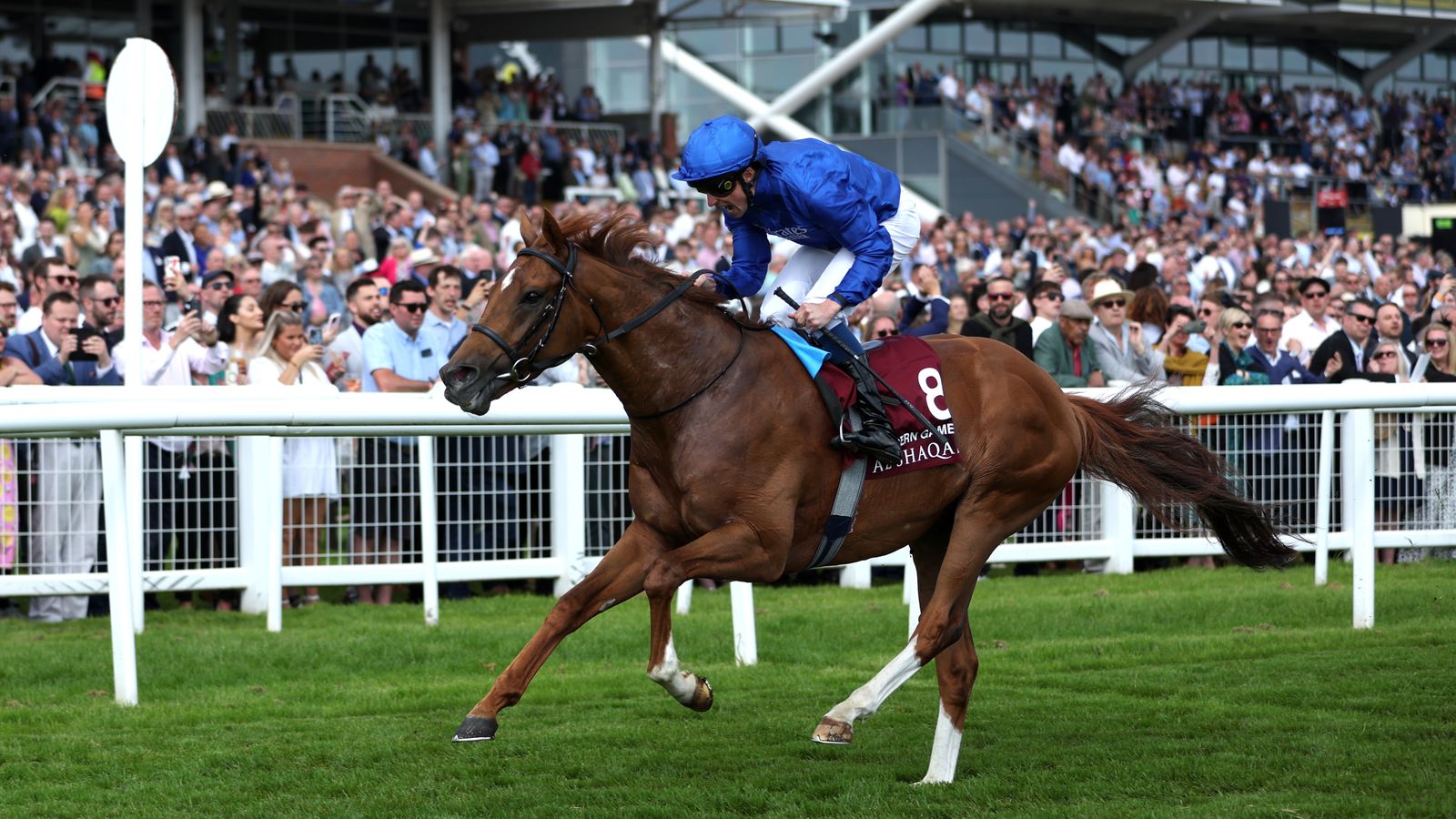 Лошади чарли. Royal Ascot. Stakes.