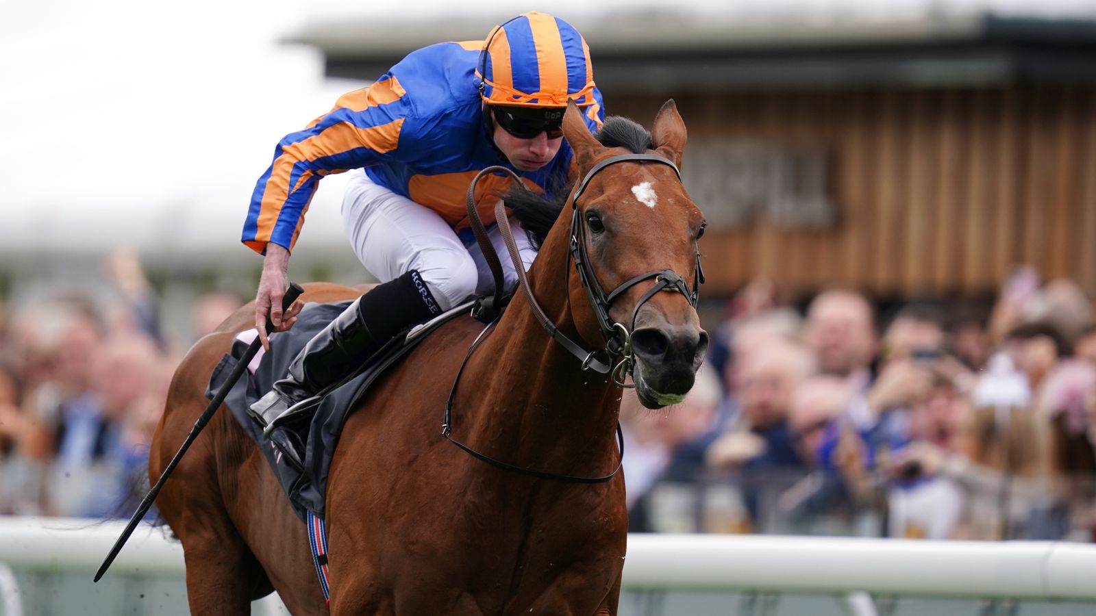Dee Stakes: Aidan O’Brien provides tenth Chester prize with San Antonio; now 25/1 for The Derby