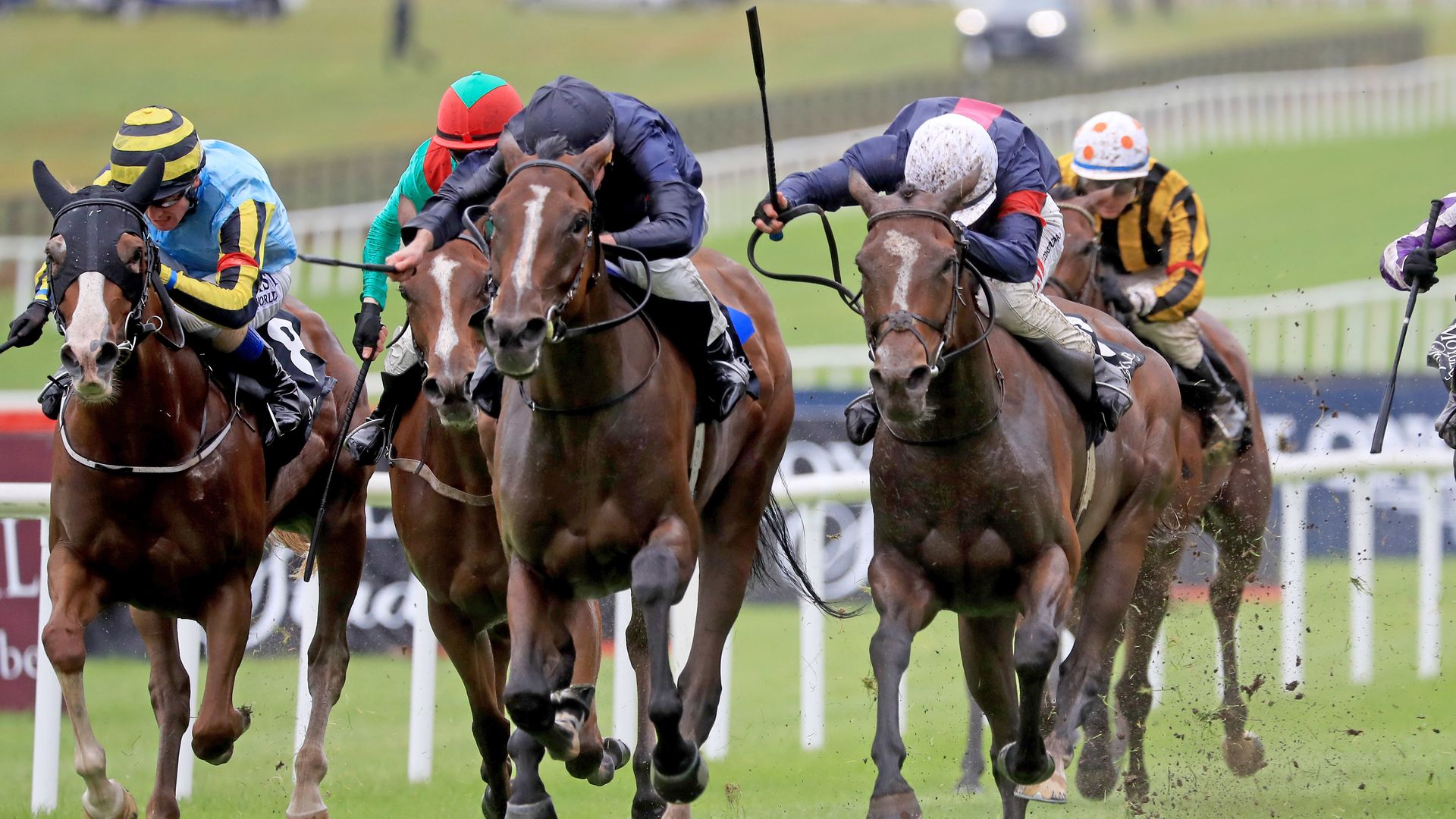 Weekend Winners: Above The Curve a cracking chance at Ascot!