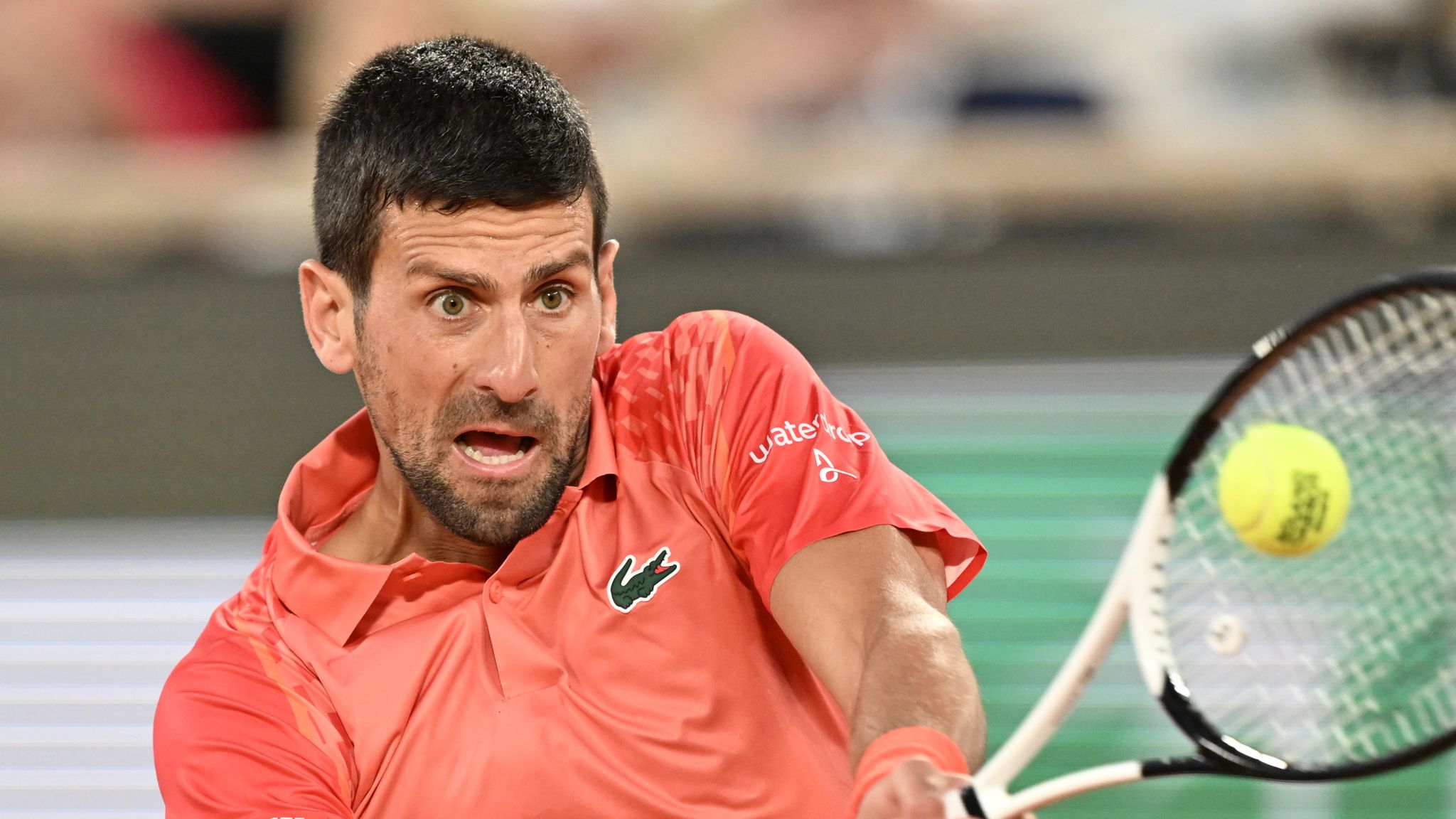 French Open draw sets Novak Djokovic against the world on grand