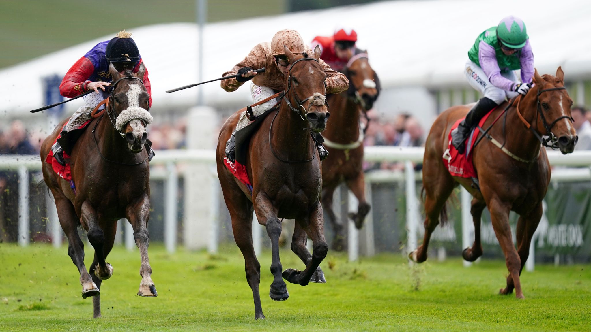 Dee Stakes: Aidan O'Brien adds 10th Chester prize with San Antonio; now ...
