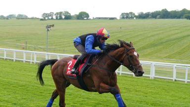 Derby hope Arrest pleases Gosden with Epsom gallop