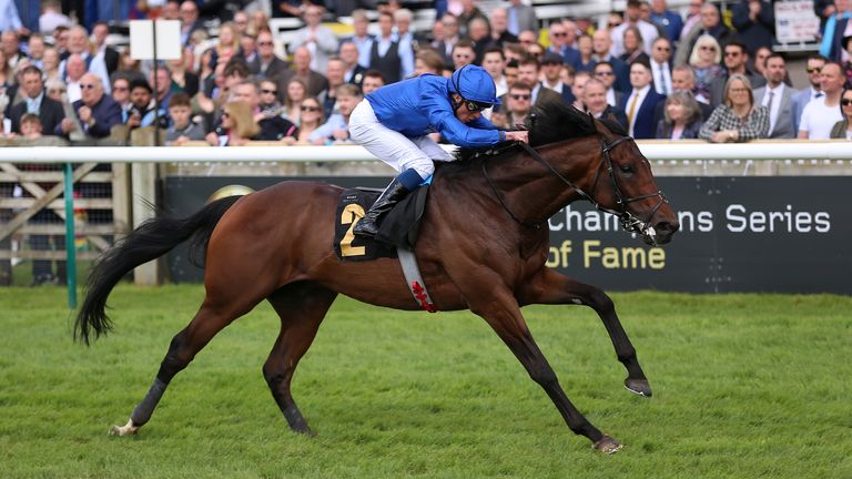 Adayar looks set to head to Royal Ascot next after winning the Group Three Gordon Richards Stakes