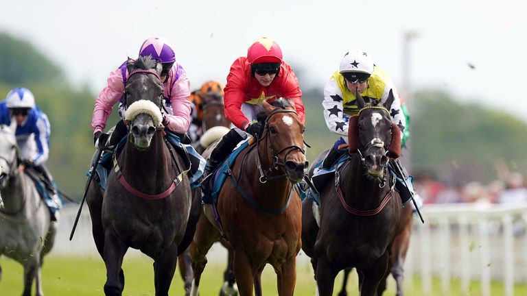 Azure Blue (left) beats Highfield Princess in a terrific tussle on the Knavesmire