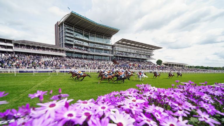 Bielsa gets his head in front at York on day one of the Dante Festival