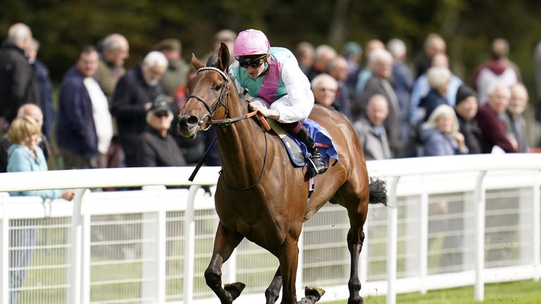 Bluestocking, ridden by Rob Hornby, wins The Byerley Stud British EBF Novice Stakes division one at Salisbury