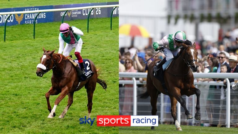 2000 Guineas first and third, Chaldean and Royal Scotsman, could face off again in the St James's Palace Stakes