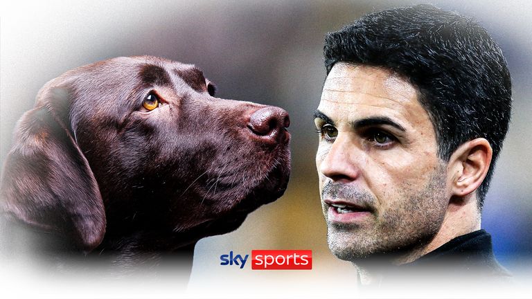 Arsenal manager Mikel Arteta explains why he has brought a dog into the training ground enviroment