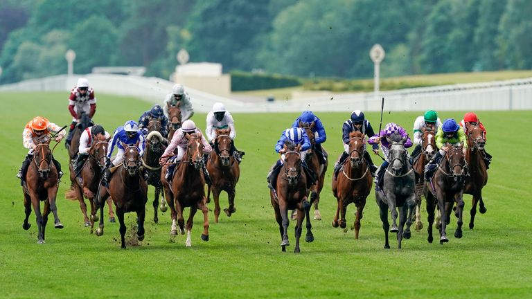 Hukum enjoyed Royal Ascot success in the King George V Stakes in 2020