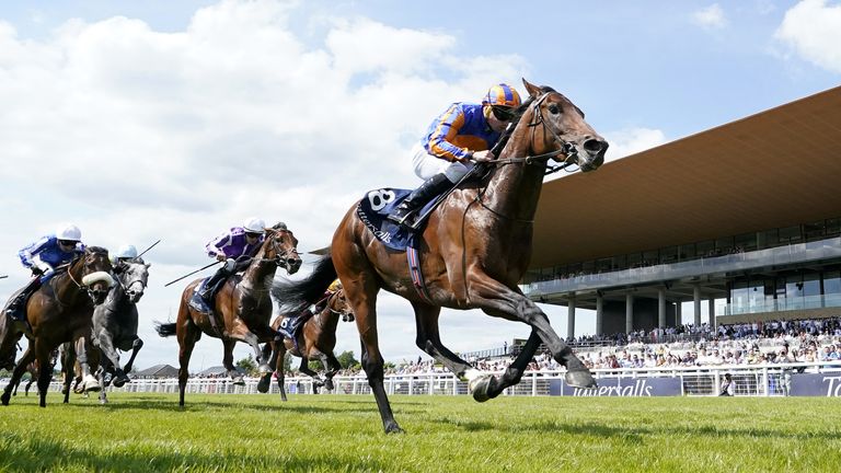 Paddington was cut to 4/1 for the St James's Palace Stakes at Royal Ascot