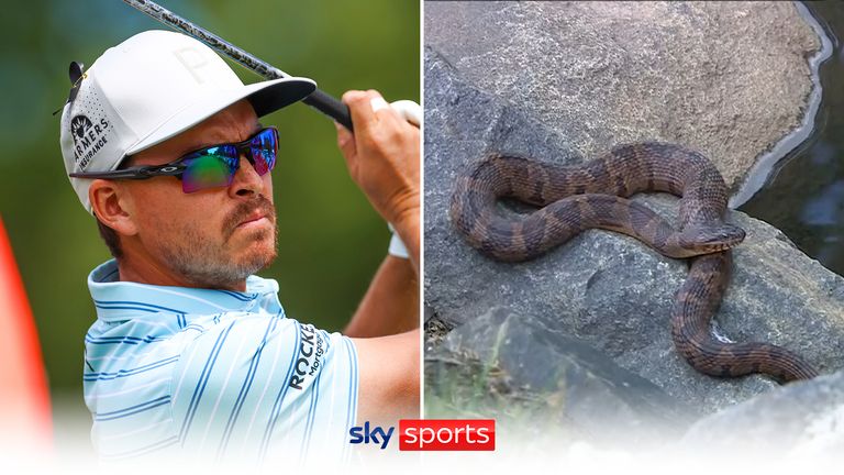 Ricky Fowler found a snake on the seventh hole on day three of the Wells Fargo Championship and dealt with it expertly.