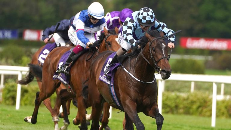 Sprewell runs away to victory in the Leopardstown Derby Trial 