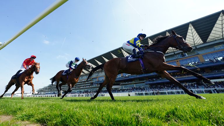 Trueshan and Hollie Doyle lead the field in the 2023 Sagaro Stakes