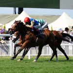 Weatherbys Hamilton Lonsdale Cup: Coltrane gains Royal Ascot revenge on  Courage Mon Ami at York, Racing News