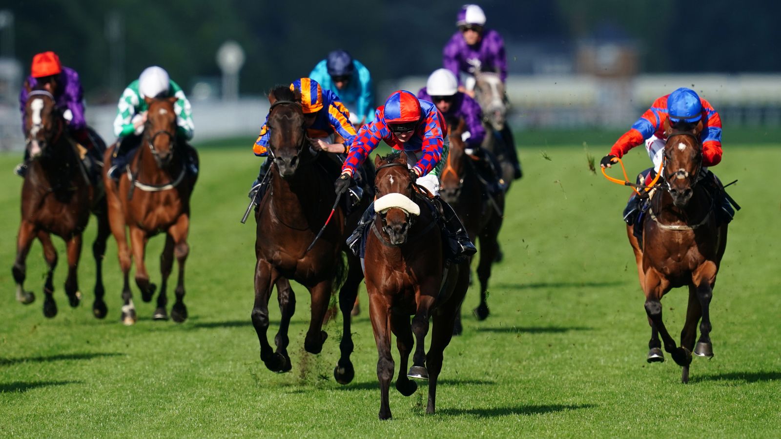 Mick Appleby: If Big Evs wins, you won't see me for a few weeks ...