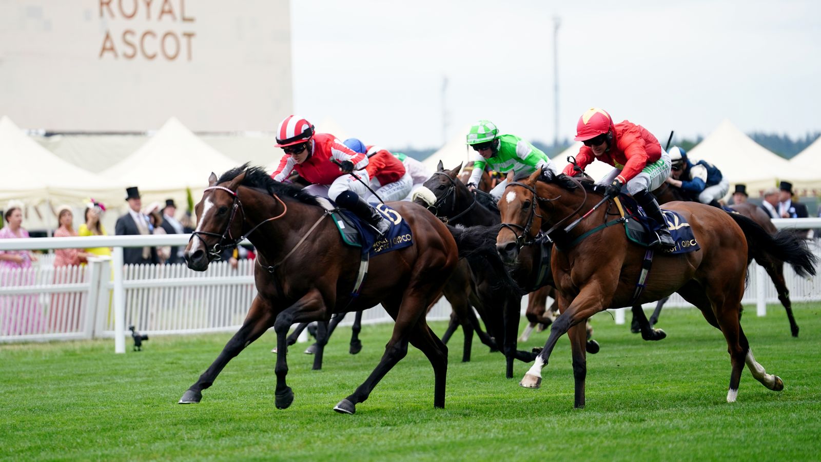 Alex Hammond Blog Northumberland Plate 25 1 Pick From Andrew Balding Alex Hammond Blog Northumberland Plate 25 1 Pick From Andrew Balding
