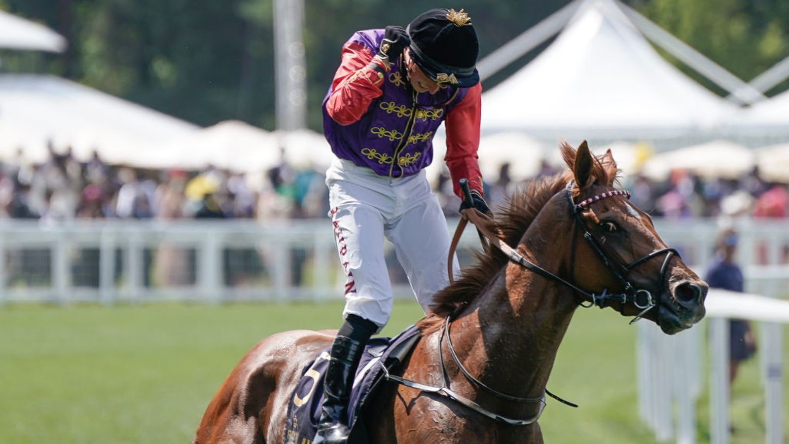 King V Stakes Desert Hero gives The King and The Queen a first