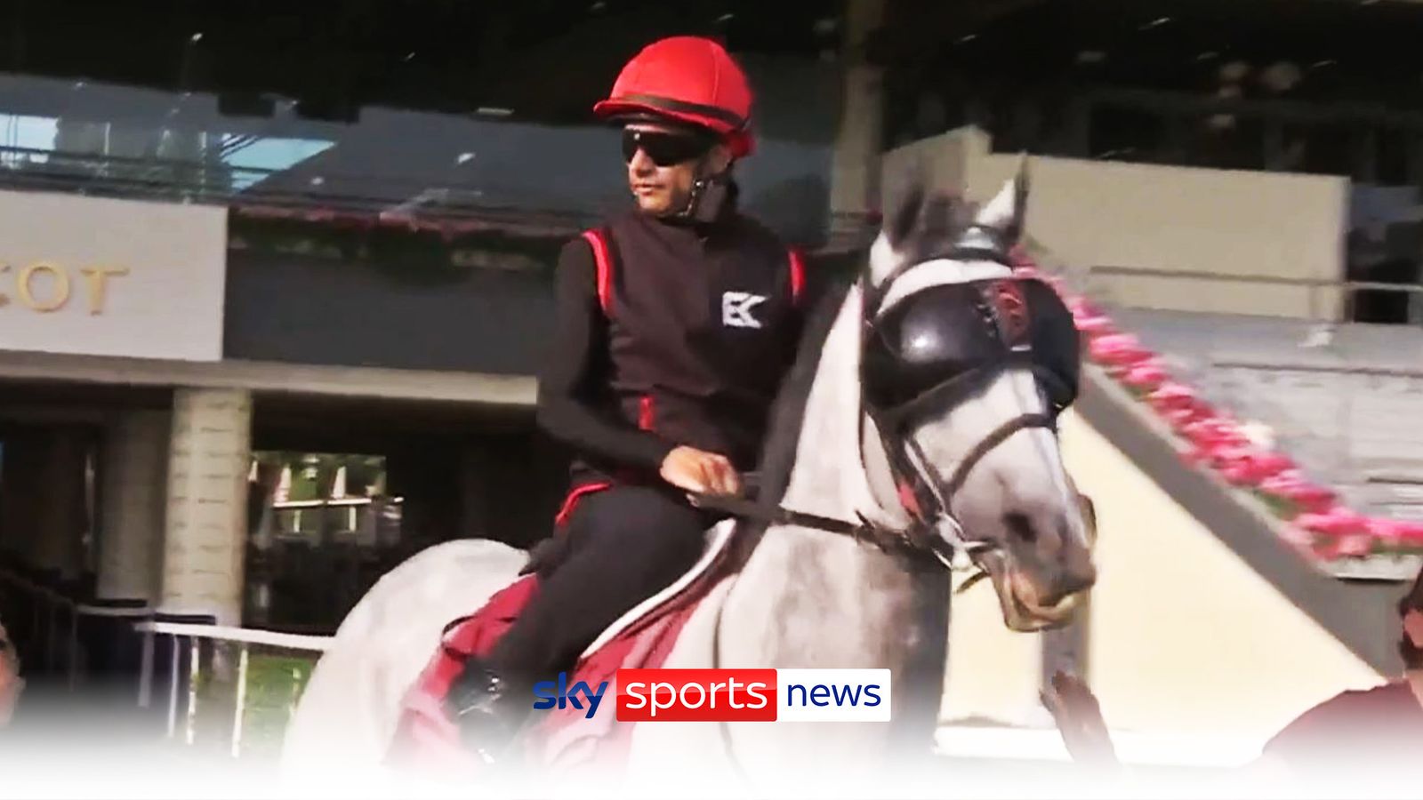Horse wearing sunglasses at Royal Ascot! 'Never seen anything like