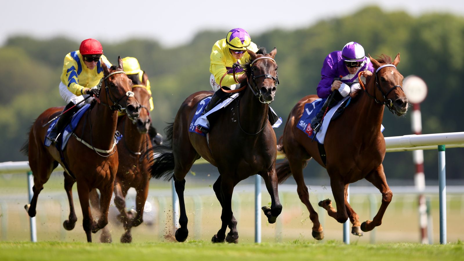 Lester Piggott Stakes: Sea Silk Road secures poignant victory for ...