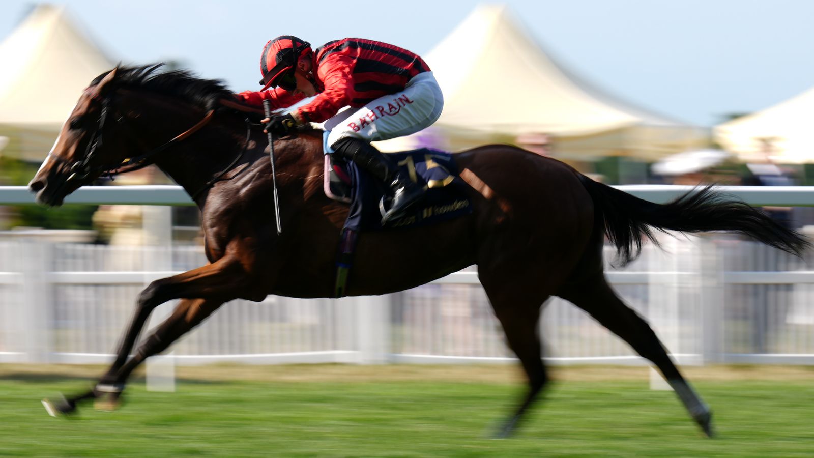 Waipiro: Ed Walker-trained Royal Ascot winner heading to Hong Kong | Racing News