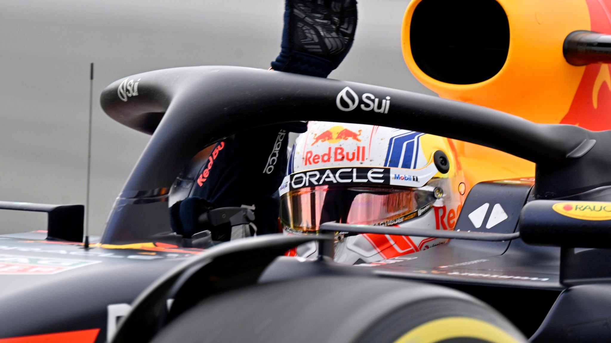 Max Verstappen reveals bird was stuck on his Red Bull for most of ...