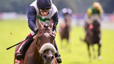 'Part of the family' - The story of Coltrane's rise to Gold Cup favourite