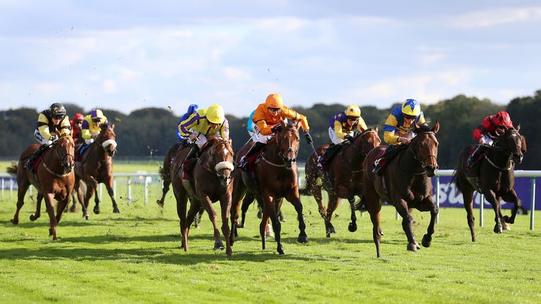 Chairmanoftheboard (yellow and blue) in winning action at Haydock