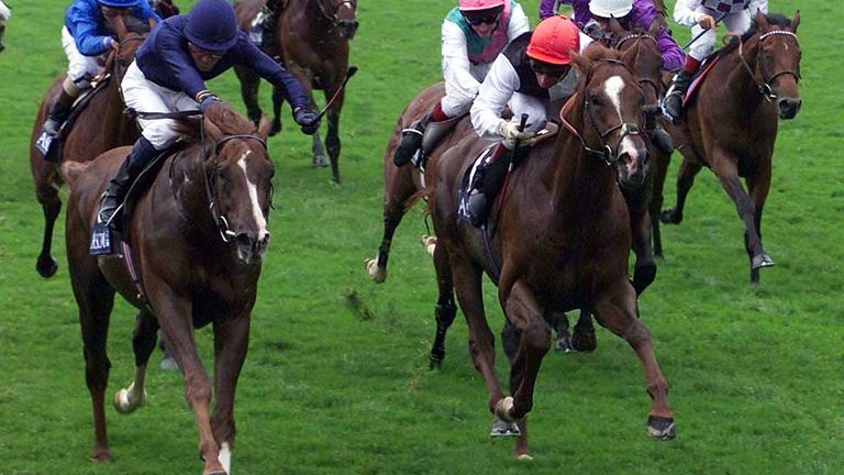 Mick Kinane rides Giant&#39;s Causeway to a narrow victory in the St. James&#39;s Palace Stakes