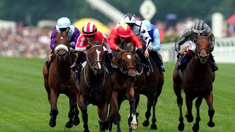 Bradsell and Highfield Princess come together in the closing stages of the King's Stand Stakes