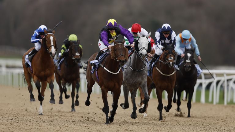 Rainbow Dreamer is fancied to run a big race in the Northumberland Plate