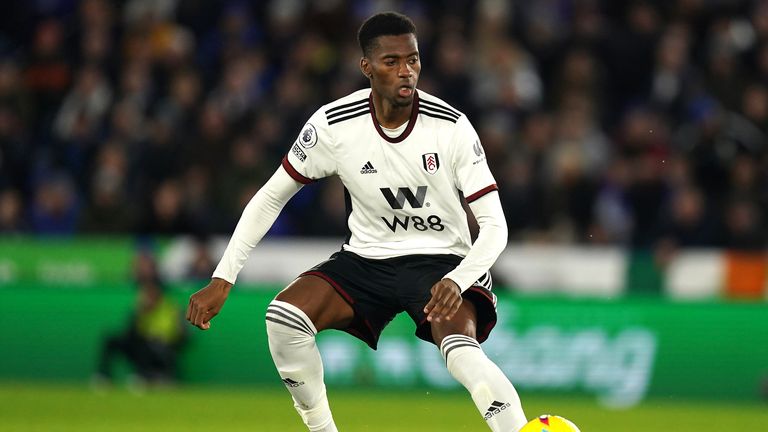 Fulham's Tosin Adarabioyo is a potential target for Tottenham