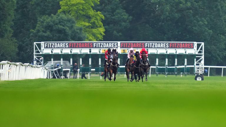 A field of 11 head to post for the latest Fitzdares Sprint Series Qualifier at Windsor