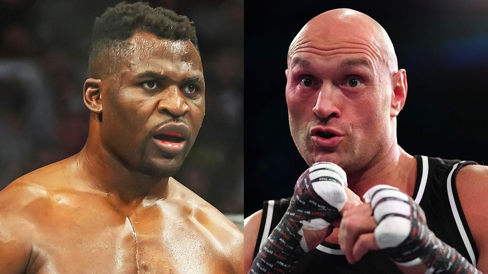 Tyson Fury confirms next fight against former UFC champion Francis