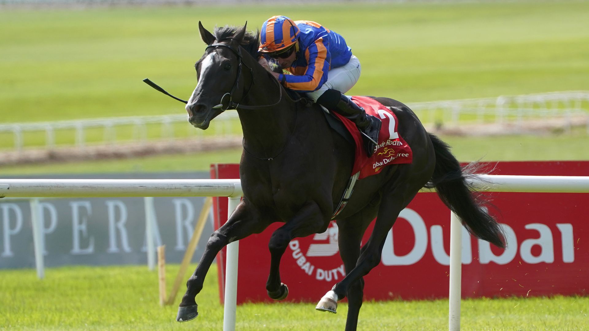 He's done it! Auguste Rodin completes famous Derby double