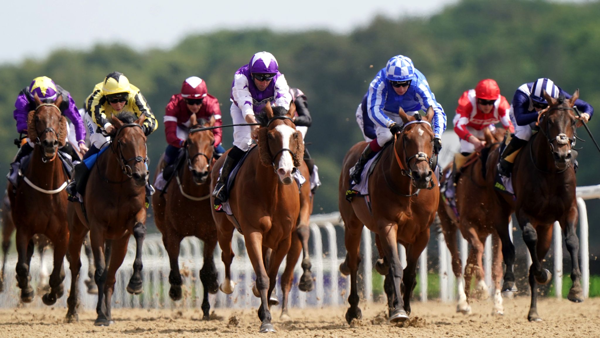 Saturday Tips: Four horses to follow including a 25/1 shot | Racing ...